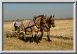 klik op een foto om naar het familiealbum te gaan